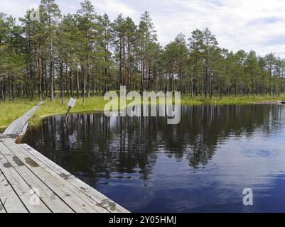 Viru Moor im Nationalpark Lahemaa, Estland, Europa Stockfoto