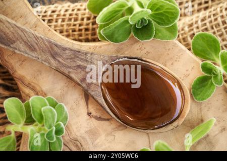 Plectranthus Amboinicus Sirup für Erkältung auf einem Löffel, Draufsicht Stockfoto