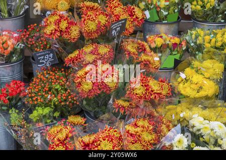 Auswahl an Blumen vor einem Blumenladen Stockfoto