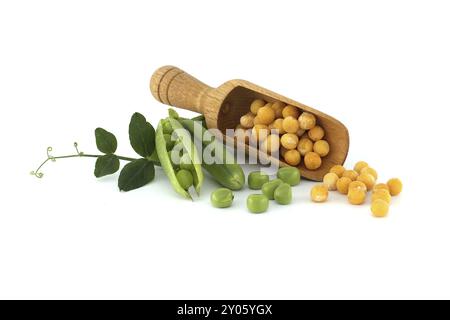 Gelbe getrocknete Erbsen ganz aus hölzernem Löffel in der Nähe frischer grüner Erbsen und Erbsenschoten mit grünem Blatt isoliert auf weißem Hintergrund Stockfoto