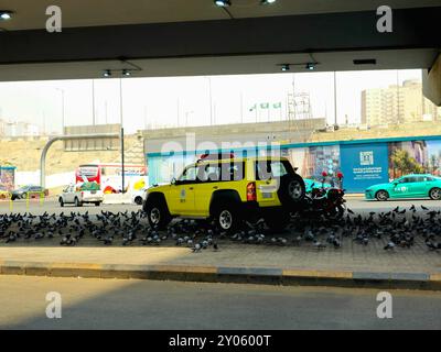 Mekka, Saudi-Arabien, 8. Juni 2024: Ein Nissan Patrouillenwagen, umgeben von vielen Haram-Tauben in der Straße von Makkah, der Hauptstadt von Mekka Provi Stockfoto