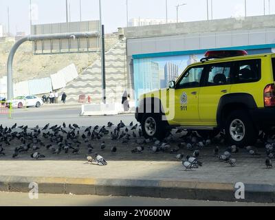 Mekka, Saudi-Arabien, 8. Juni 2024: Ein Nissan Patrouillenwagen, umgeben von vielen Haram-Tauben in der Straße von Makkah, der Hauptstadt von Mekka Provi Stockfoto