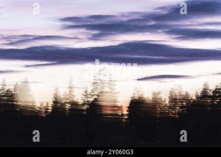 Abendstimmung im Wald, Wischeffekt, abstrakt, Norrbotten, Lappland, Schweden, August 2013, Europa Stockfoto