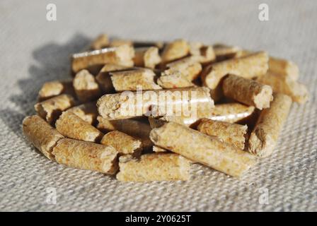 Makro von Holzpellets, die auf dem Tisch liegen Stockfoto