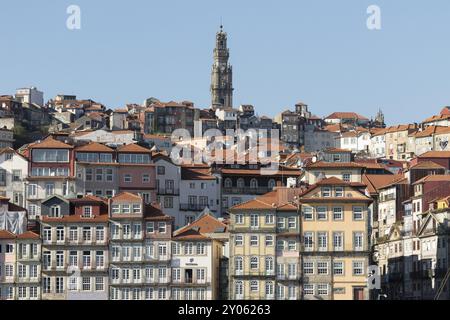 Dächer, historische Hausfassaden und der Kirchturm Torre dos Clerigos im historischen Zentrum von Porto, Portugal, Europa Stockfoto