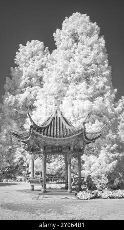 Chinesische Pagode, in Infrarot RHS Wisley, Woking, Surrey Stockfoto