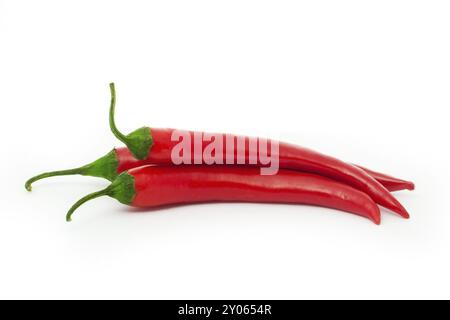 Drei rote Paprika isoliert auf weiß Stockfoto