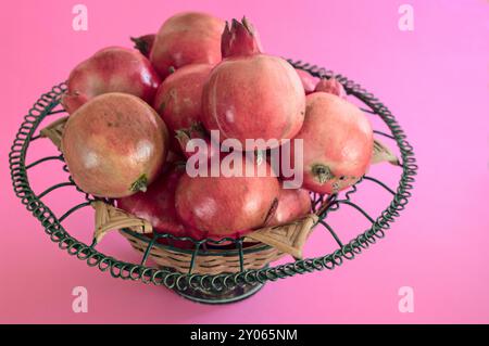 Mediterraner Garten Granatäpfel. Frisch geerntet für den menschlichen Verzehr Stockfoto