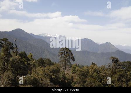 Blick nach Norden in Richtung der über 7000 m hohen Berge von den 108 Khangzang Namgyal Chortens, Dochula Pass, Bhutan, Asien Stockfoto