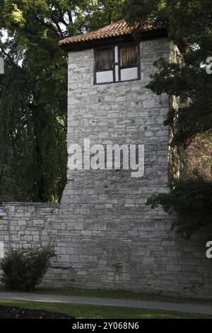 Mühlhausener Stadtmauer (Thüringen) Stockfoto