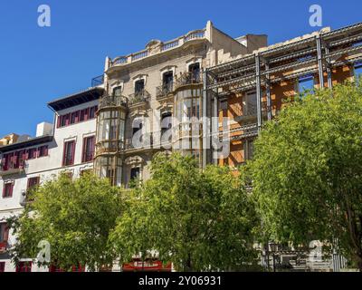 Mehrstöckiges Stadthaus mit Balkonen und großen Fenstern, umgeben von grünen Bäumen unter blauem Himmel, palma de mallorca, mallorca, balearen, Spa Stockfoto