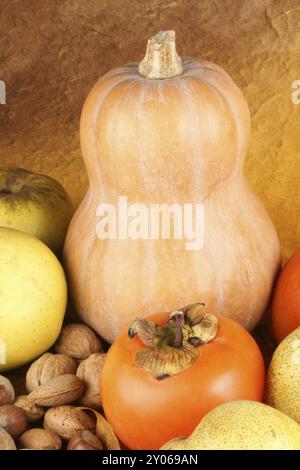 Herbststillleben mit Kürbis, Äpfeln, Birnen, Persimmonfrüchten, Mandeln, Haselnüsse und Walnüsse Stockfoto