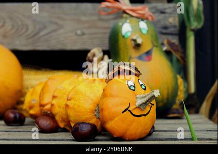 Schlange aus Patisson Squash mit Gesicht Stockfoto