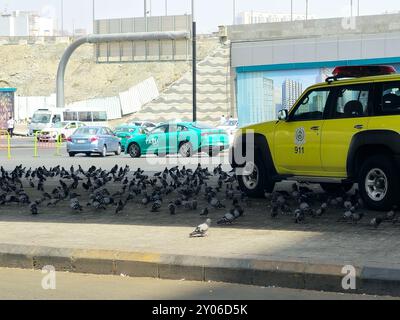 Mekka, Saudi-Arabien, 8. Juni 2024: Ein Nissan Patrouillenwagen, umgeben von vielen Haram-Tauben in der Straße von Makkah, der Hauptstadt von Mekka Provi Stockfoto