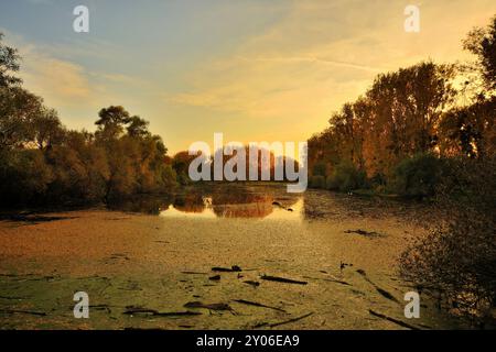 Schusterwoerth im Herbst Stockfoto