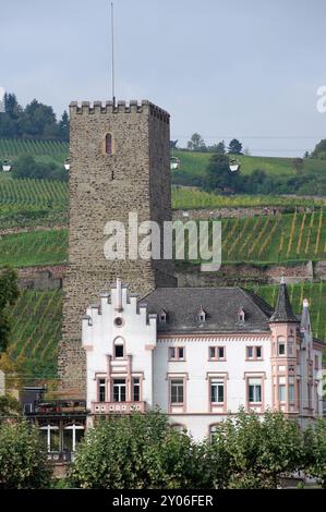 Boosenburg Ruedesheim Stockfoto