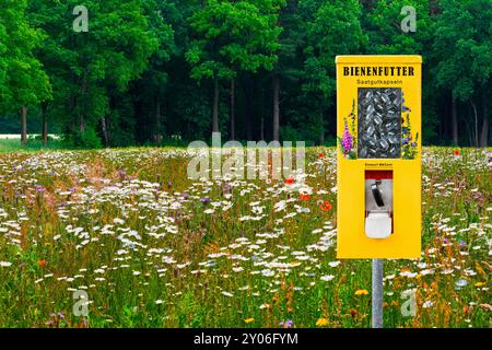 Samenkapseln im Automaten für Wild- und Honigbienen gegen Artensterben Stockfoto