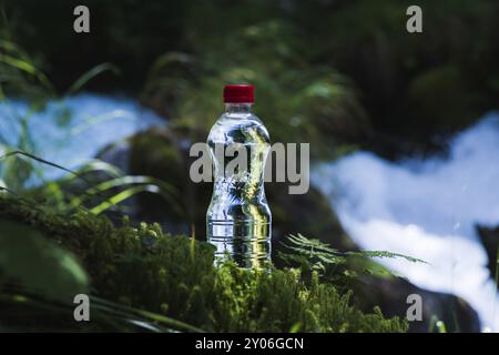 Transparenter Kunststoff Eine Flasche sauberes Wasser mit rotem Deckel steht im Gras und Moos auf dem Hintergrund eines schroffen Bergflusses. Das Konzept von p Stockfoto