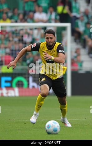 31.08.2024, wohninvest Weserstadion, Bremen, GER, 1.FBL SV Werder Bremen vs. Borussia Dortmund im Bild/Bild zeigt Einzelaktion/Aktion. Ganze Figur. Einzeln. Freisteller. Ramy Bensebaini (Borussia Dortmund #05) Foto © nordphoto GmbH/Tauchnitz DIE DFB-VORSCHRIFTEN VERBIETEN DIE VERWENDUNG VON FOTOGRAFIEN ALS BILDSEQUENZEN UND/ODER QUASI-VIDEO. Stockfoto