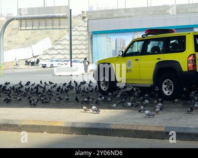 Mekka, Saudi-Arabien, 8. Juni 2024: Ein Nissan Patrouillenwagen, umgeben von vielen Haram-Tauben in der Straße von Makkah, der Hauptstadt von Mekka Provi Stockfoto