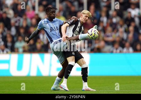 Newcastle United's Anthony Gordon (rechts) kämpft um den Ballbesitz mit Tottenham Hotspurs Yves Bissouma während des Premier League-Spiels im St. James' Park, Newcastle upon Tyne. Bilddatum: Sonntag, 1. September 2024. Stockfoto