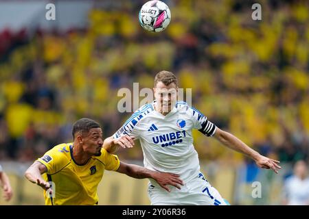 Kopenhagen, Dänemark. September 2024. Superliga-Spiel zwischen dem FC Kopenhagen und Broendby IF in Parken in Kopenhagen Sonntag, 1. September 2024. (Foto: Mads Claus Rasmussen/Scanpix 2024) Credit: Ritzau/Alamy Live News Stockfoto