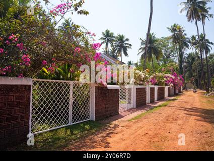 GOA, Indien - 27. Februar 2024: Straße mit schönen Blumen in der Nähe von Häusern. Landschaftsdesign Stockfoto