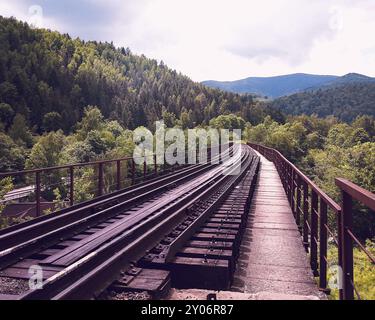 Blick auf die Eisenbahnbrücke über dem Fluss Prut. Jaremche, Ukraine Stockfoto