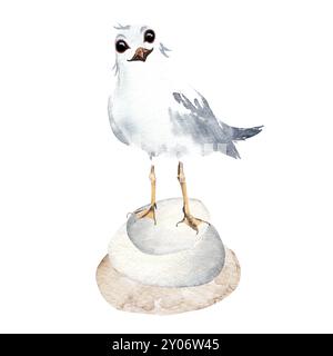 Möwe auf den Felsen. Handgezeichnete Aquarellillustration einer weißen Cartoon-Möwe auf den Felsen. Stockfoto