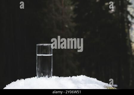 Ein durchsichtiges Glas mit Trinkwasser steht im Schnee vor dem Hintergrund eines Waldes im Winter. Das Konzept des Trinkbergs Stockfoto