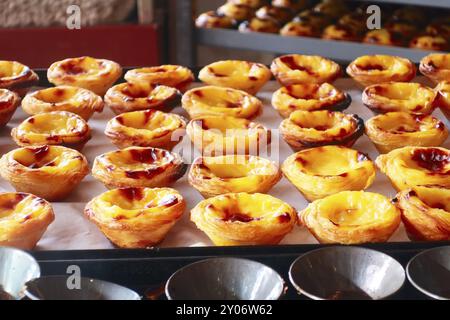 Reihen von frisch gekochtes Ei tart, traditionelle portugiesische Dessert, Pastel de Nata, Pudding Stockfoto