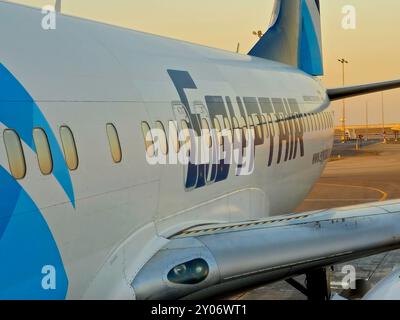 Kairo, Ägypten, 3. Juni 2024: Egypt Air ist ein ägyptisches Flugzeug auf dem Flughafen und ist das staatliche Flaggenflugzeug Ägyptens mit Hauptsitz in Cairo International Stockfoto