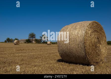 Strohballen vor einer mallorquinischen Finca Stockfoto