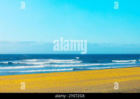 Sonniger Strand mit Wellen im Hintergrund. Das Meer ist ruhig und der Himmel ist klar. Der Strand ist leer und die Wellen sind klein Stockfoto