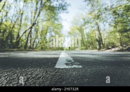 Die asphaltierte Straße in den Wald: Nahaufnahme, Perspektive, verschwommenen Hintergrund Stockfoto