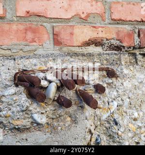 Eisen- und Stahlverstärkung ragt aus der Mauer eines abgebrochenen Hauses hervor Stockfoto