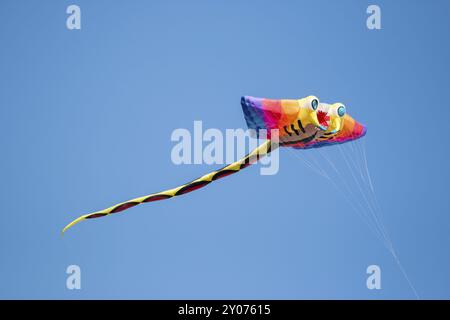 Große fliegen Ray Regenbogenfisch Kite auf blauem Hintergrund Stockfoto