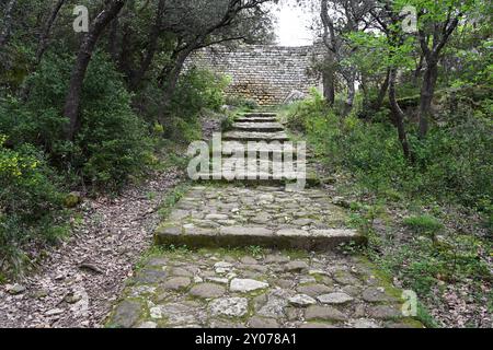 Alte Steintreppen oder Treppen & Fußweg führen durch den Wald zum verlassenen, ruinierten und verlassenen Troglodyten-Dorf Calès, Lamanon, Provence Frankreich Stockfoto