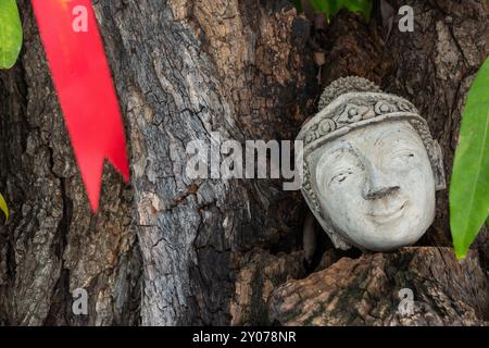 In einem ausgehöhlten Baumstamm liegt ein Buddha-Kopf, der den Frieden repräsentiert Stockfoto