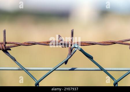 Nahaufnahme eines rostigen Stacheldrahtzauns. Deutschland, Mecklenburg-Vorpommern, Rehna Stockfoto