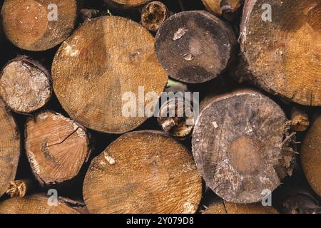 Das Brennholz wird auf einen flachen Stapel gelegt. Nahaufnahme Stockfoto