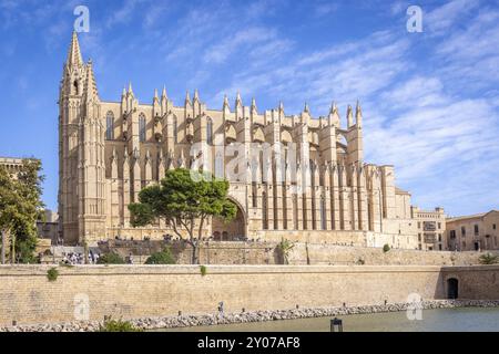 Kathedrale La Seu, vor dem Parc de Mar, Palma, Mallorca, Spanien, Europa Stockfoto