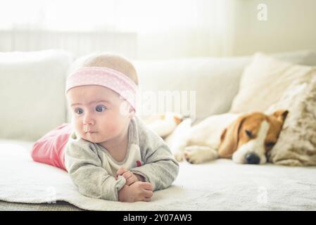 Das 6 Monate alte Mädchen liegt neben dem Beagle-Hund auf einer Couch. Helles, sonniges Interieur Stockfoto