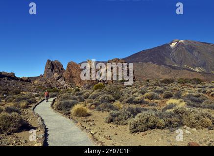 Wanderer auf dem Rundweg rund um Los Roques de Garcia auf markierten Wanderwegen, Teide Nationalpark, Teneriffa, Kanarische Inseln, Spanien, Europa Stockfoto