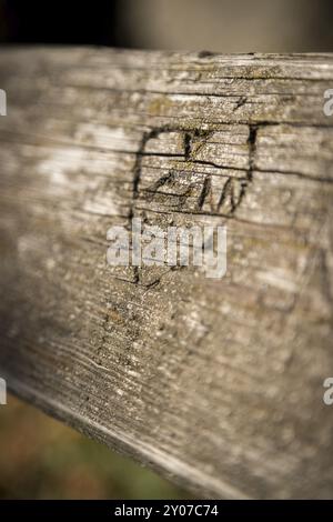 Nahaufnahme von geschnitzten Herz auf einem Park Bank, Herbst Stockfoto