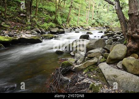 Der romantische Bergbach Bode im Nationalpark Harz Stockfoto