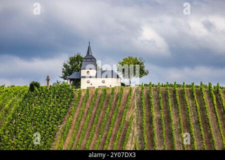Laurentiuskapelle unter den Rebstöcken des Moseltals, Trittenheim, Deutschland Stockfoto