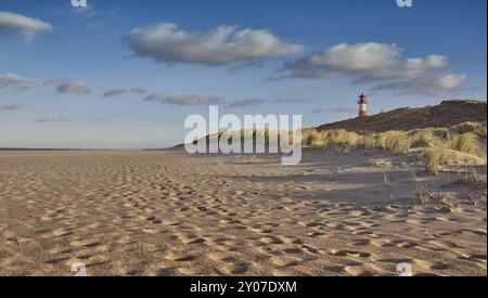 Menschenleeren Strand mit Leuchtturm hinter Sanddünen im Abendlicht in einem niedrigen Winkel sehen. Spuren im Sand Stockfoto