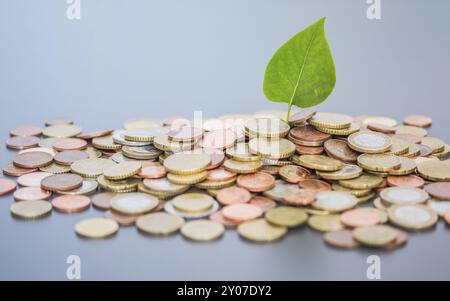 Nachhaltige Investitionen Geld Konzept: Münzen auf jedem anderen, grünes Blatt geheftet Stockfoto