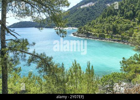 Sommerferienhintergrund Saliara aka Marble Beach Bay aus der Vogelperspektive mit türkisfarbenem Wasser und Kiefern auf Thasos Island, Griechenland, Europa Stockfoto